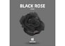mix e mastering  techno , tech house , deep house